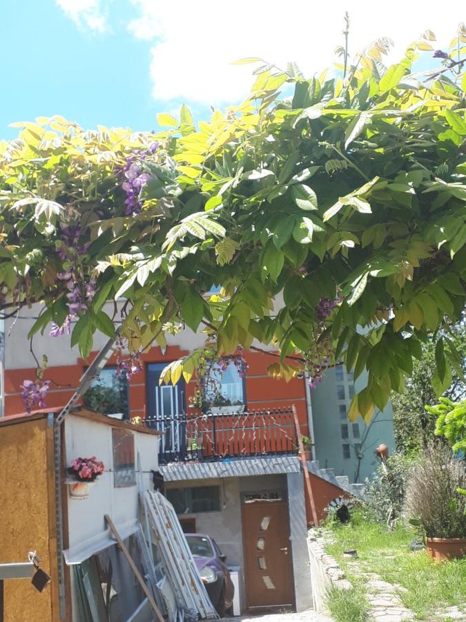 Sarkany Lak Diosd Exterior foto